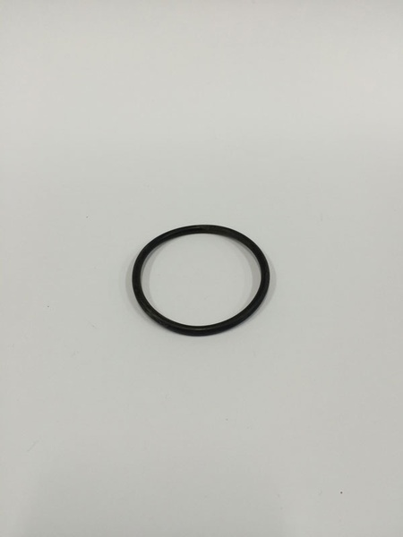 ANEL O'RING - PR 20
